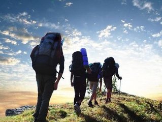 深圳九龍生態(tài)農(nóng)業(yè)園推薦國(guó)慶旅游健康常識(shí)：謹(jǐn)防7種昆蟲(chóng)叮咬