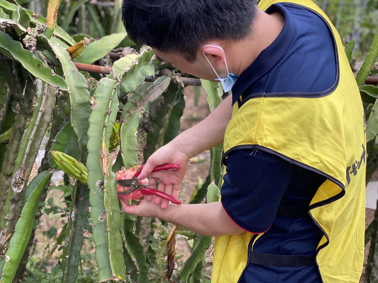 九龍生態(tài)園國慶上班通知