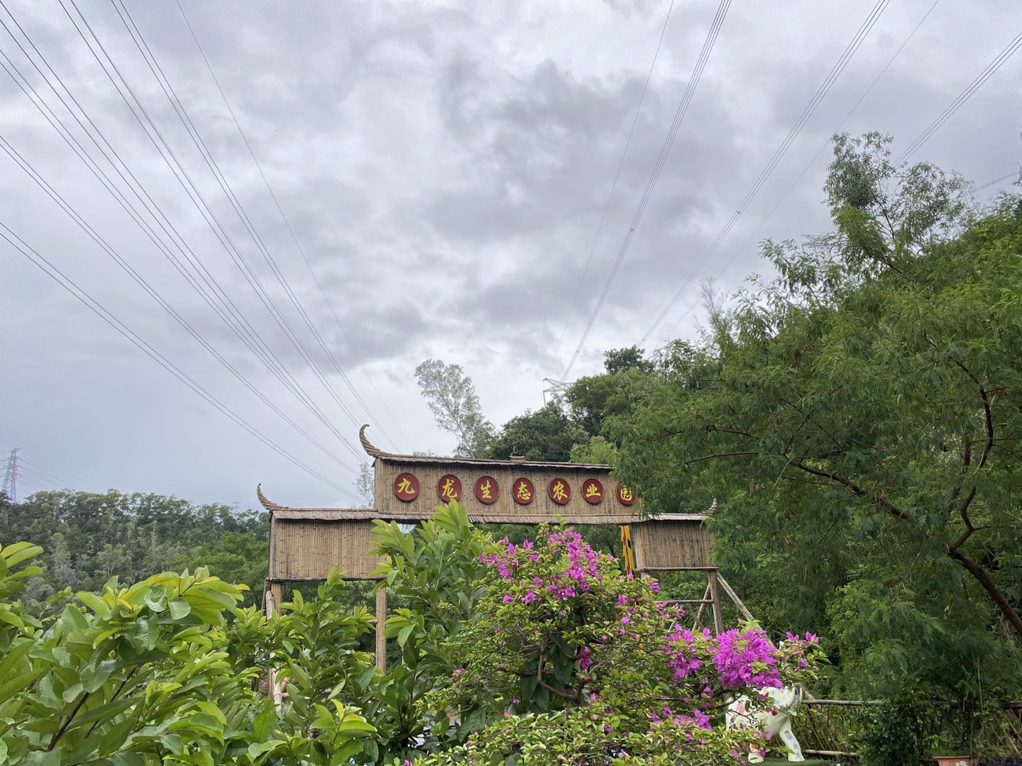 為公司團(tuán)建拓展活動而生的深圳農(nóng)家樂九龍生態(tài)農(nóng)業(yè)園