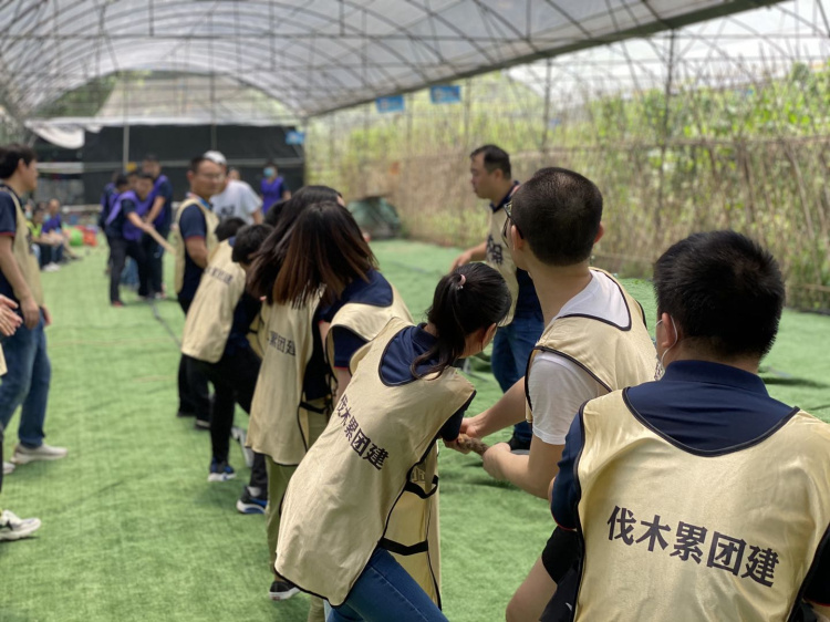 深圳適合公司團(tuán)建活動團(tuán)體聚會出游的農(nóng)家樂團(tuán)建基地